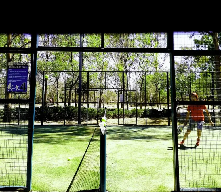 e padel p52 0738 1 768x667