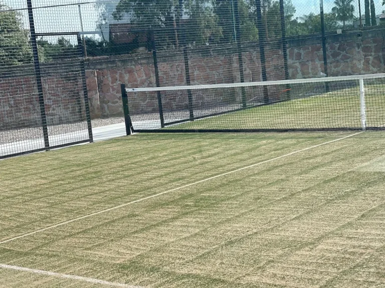padel zone sur p52 0188 1 768x576
